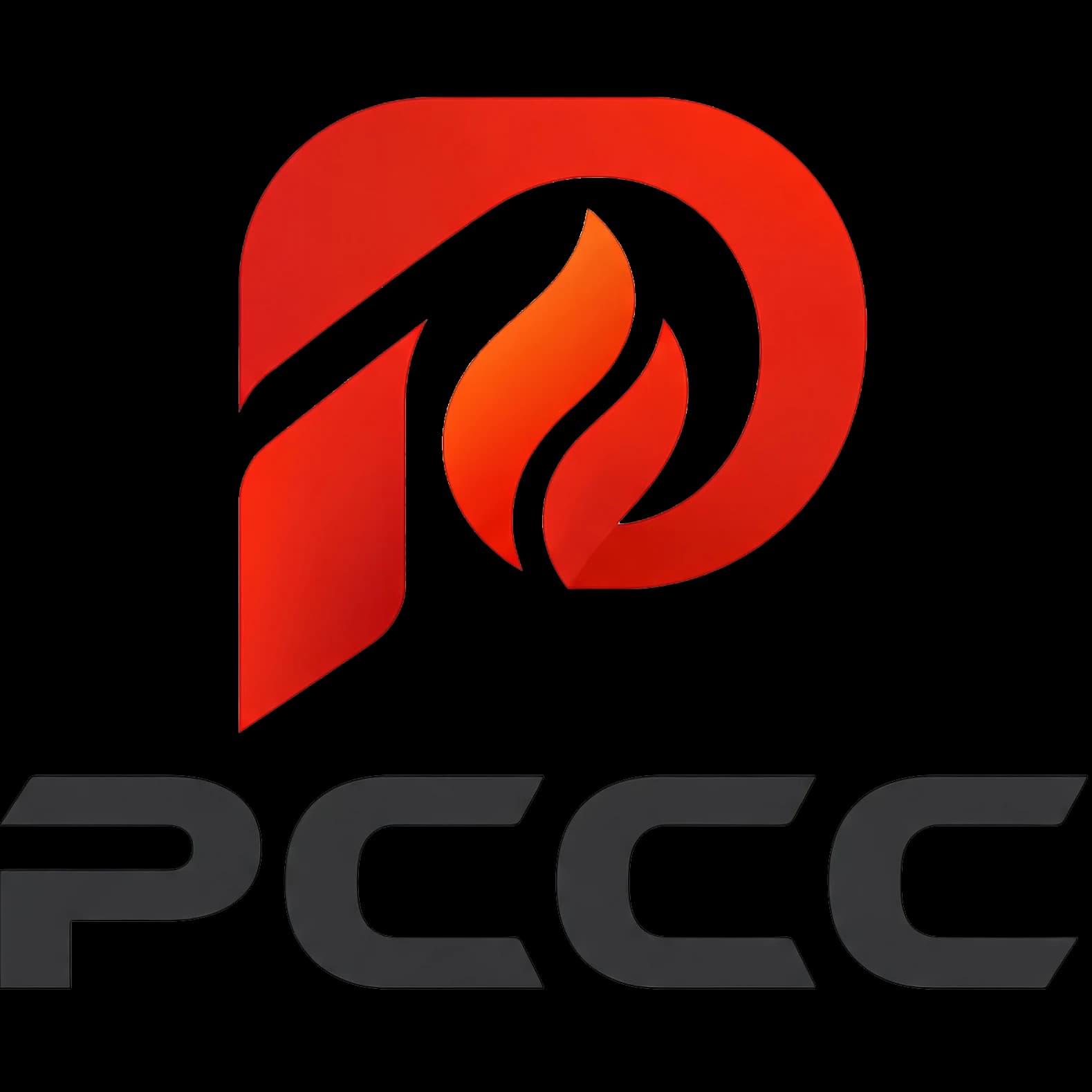 Logo PCCC DN NGUYEN HUNG